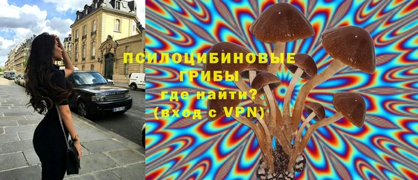 мдпв Балабаново