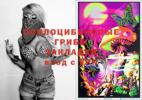 ECSTASY Баксан