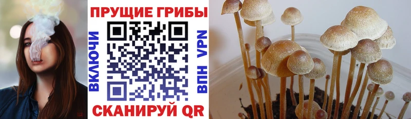 Галлюциногенные грибы мухоморы  OMG ONION  Ленск 